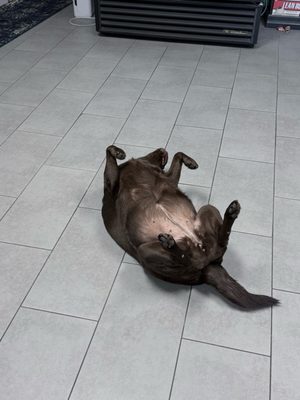 Pure Supplements Direct