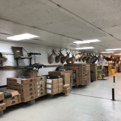 Precision Archery