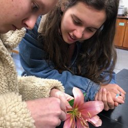 Verde Valley School - The IB + dirt experience allows for hands on learning where students can explore more in-depth!