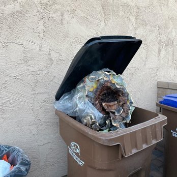 TJ's Moving, Landscaping, and Labor - Three agave heavy bases in our trashcan - Landscaping Near Me - Tucson, Arizona TJ's Moving, Landscaping, and Labor - Three agave heavy bases in our trashcan - Landscaping Near Me - Tucson, Arizona