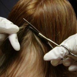 Arcpoint Labs - Hair Testing can show up to 90 days of Drug or Alcohol use history and is court admissible.