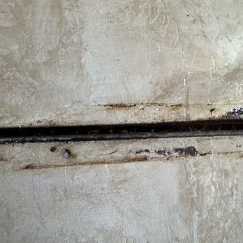 Discover RV - Hopefully not black mold inside wall - RV Repair Near Me - Lodi, California Discover RV - Hopefully not black mold inside wall - RV Repair Near Me - Lodi, California