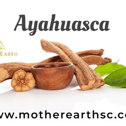 Mother Earth Spiritual Center