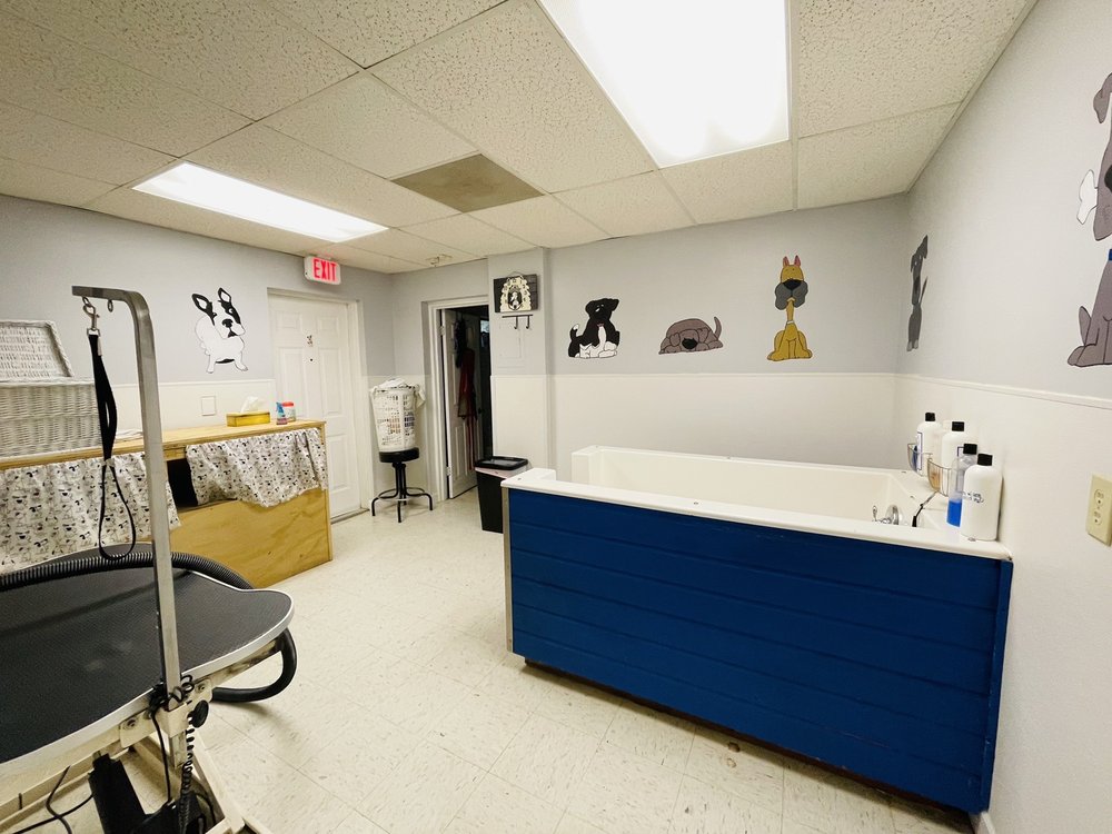 HOUND LOUNGE DOGGIE DAYCARE AND GROOMING Updated September 2024 33
