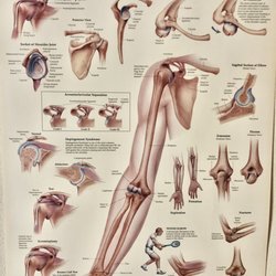 Intuitive Massage - Tennis Elbow