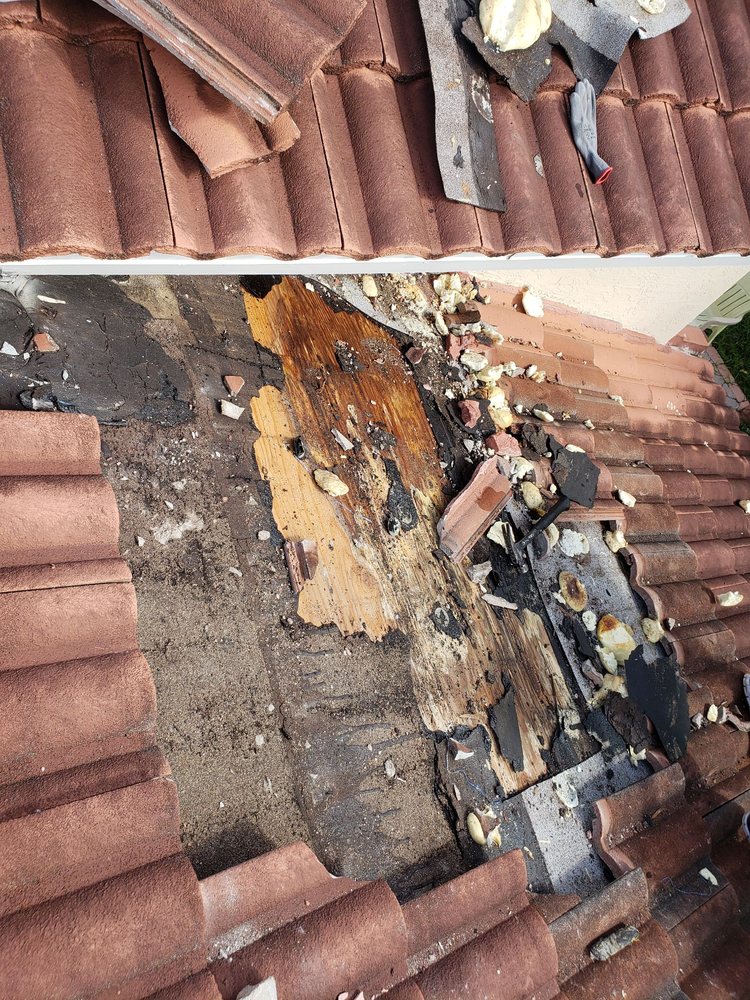 Slide of Dynasty Roofing