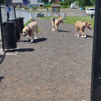 Cheshire Dog Park - Dog Parks Near Me - Cheshire, Connecticut Cheshire Dog Park - Dog Parks Near Me - Cheshire, Connecticut