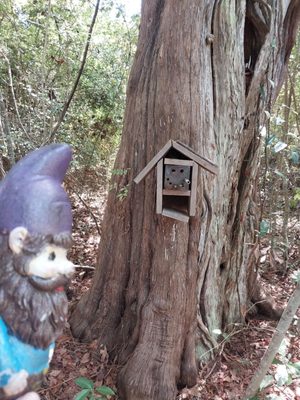 Pascagoula River Audubon Center by null