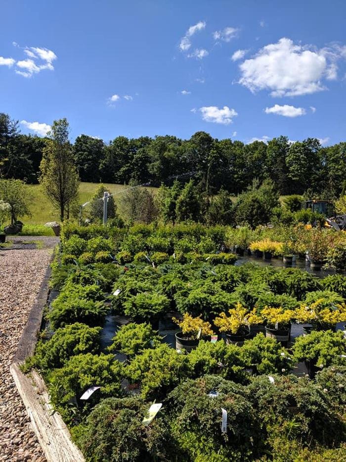 YOUNG’S AT THREE RIVERS Updated October 2024 43 Photos 130