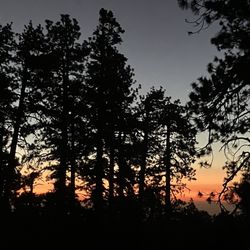 Table Mountain Campground - The view from camp site #66