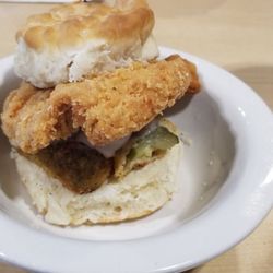 Green Frog Coffee - Fricken Biscuit
