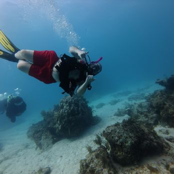 Sail Fish Scuba - Me - Scuba Diving Near Me - Key Largo, Florida