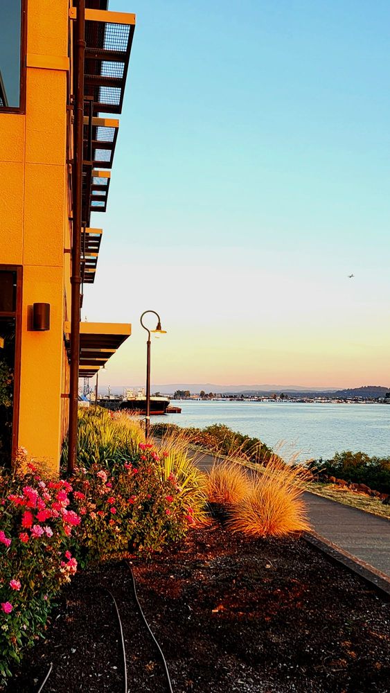 Beaches Restaurant & Bar