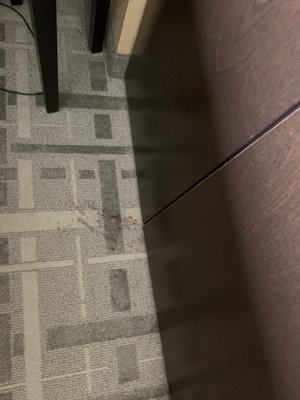 Cambria Hotel Pittsburgh - Downtown by null