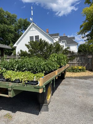 Homestead Farm by null