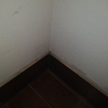 Coast Inn - Roach in the restroom - Hotels Near Me - Oceanside, California Coast Inn - Roach in the restroom - Hotels Near Me - Oceanside, California