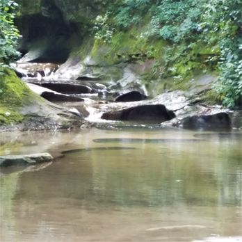 Falls Creek Gorge - view of the potholes from creek level - Parks Near Me - Williamsport, Indiana Falls Creek Gorge - view of the potholes from creek level - Parks Near Me - Williamsport, Indiana