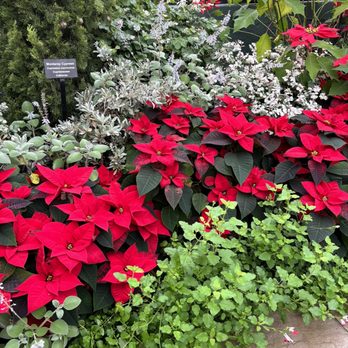 Garfield Park Conservatory - Parks Near Me - Chicago, Illinois