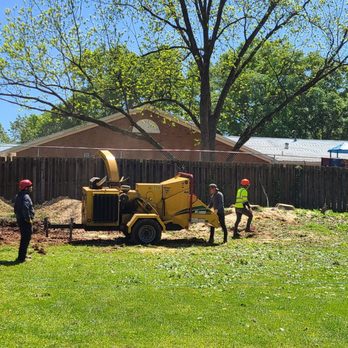 Pac-Tree - The End ... - Tree Services Near Me