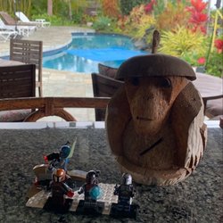 Hawaiian Oasis Bed And Breakfast - Swimming pool view from the Tiki Bar shack