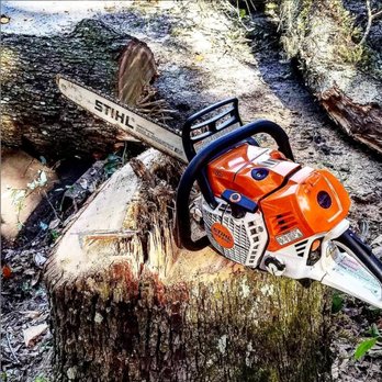 Florida Boy Property Services - Tree Services Near Me Florida Boy Property Services - Tree Services Near Me