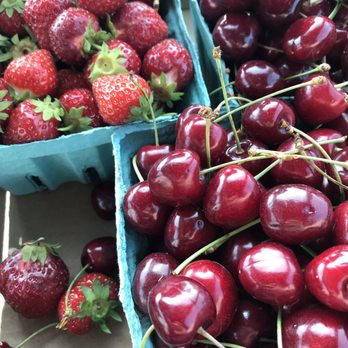 Greg's U-Pick - Fresh straws and cherries! - Pick Your Own Farms Near Me - Clarence Center, New York