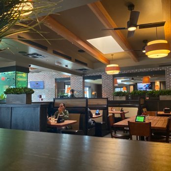 Cheddar's Scratch Kitchen - Comfort Food Near Me - Pembroke Pines, Florida Cheddar's Scratch Kitchen - Comfort Food Near Me - Pembroke Pines, Florida