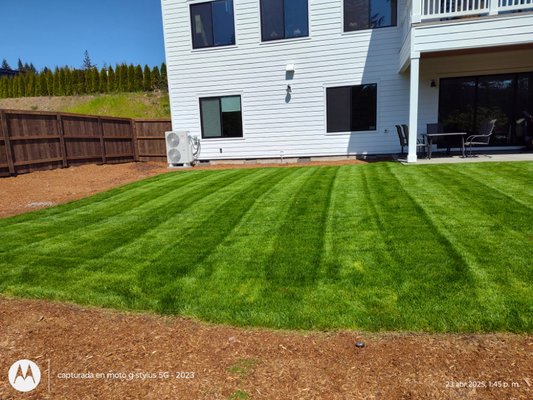 Daniel R & R Landscaping