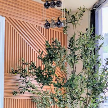 Coffeentalk - Santee - fake olive tree so cute - Coffee Roasteries Near Me - Santee, California