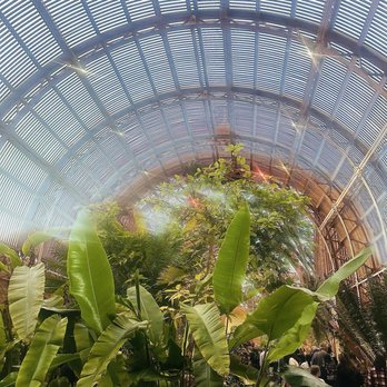 Botanical Building - Beautiful ceiling - Botanical Gardens Near Me - San Diego, California Botanical Building - Beautiful ceiling - Botanical Gardens Near Me - San Diego, California