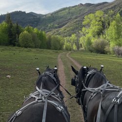 Avalanche Outfitters at Redstone Stables - Horse-drawn Wagon BBQ Dinner Rides