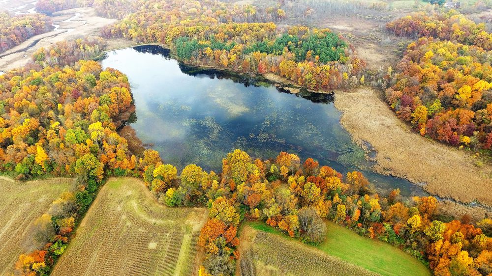 P&S FILE LAND COMPANY 57808 M 62 W, Cassopolis, MI Yelp