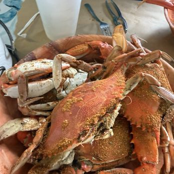 Coastal Crab Company - Jumbo Maryland Crabs - Seafood Markets Near Me - Melbourne, Florida Coastal Crab Company - Jumbo Maryland Crabs - Seafood Markets Near Me - Melbourne, Florida