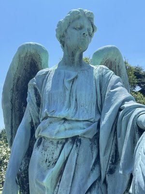 Elmwood Cemetery by null