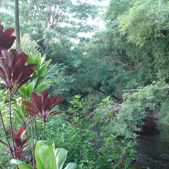 River Estate - The Babbling Brook - Vacation Rentals Near Me - Hanalei, Hawaii River Estate - The Babbling Brook - Vacation Rentals Near Me - Hanalei, Hawaii