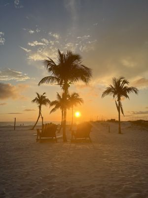 Undertow Beach Bar by null