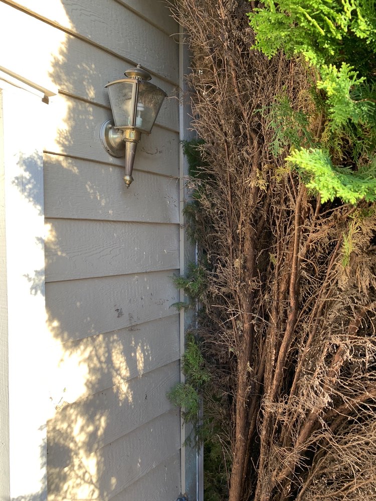 Slide of Good Plumber