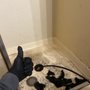 Photo of Calibrated Services