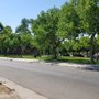 Photo of Robinson Park
