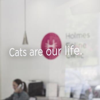 Holmes Feline Clinic - Veterinarians Near Me - Birmingham, Alabama Holmes Feline Clinic - Veterinarians Near Me - Birmingham, Alabama