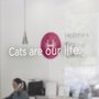 Photo of Holmes Feline Clinic