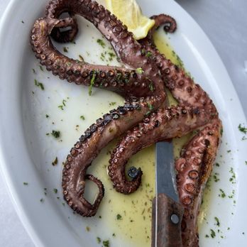 Hellas Restaurant - Broiled octopus - Bakeries Near Me - Tarpon Springs, Florida Hellas Restaurant - Broiled octopus - Bakeries Near Me - Tarpon Springs, Florida