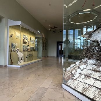 Schloss Rosenstein - Blick in die klassische Sammlung - Museums Near Me - Stuttgart, BW