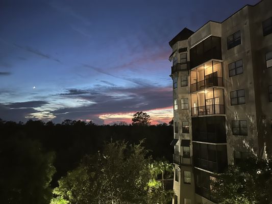 The Grove Resort & Water Park Orlando by null