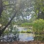 Photo of Madora Lake Loop Trail