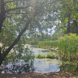 Madora Lake Loop Trail