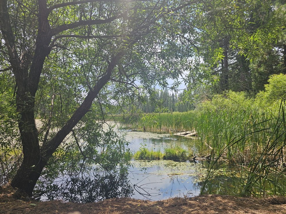 Madora Lake Loop Trail Logo