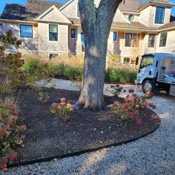 Alfieri Tree Care - Plant Health Care in action, with a basal soil application designed to support root health and overall tree vitality.