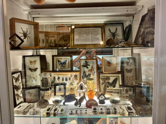 International Cryptozoology Museum by null