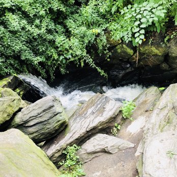 Central Park Conservancy - Followed the sound to rushing water and found this! - Parks Near Me - New York, New York Central Park Conservancy - Followed the sound to rushing water and found this! - Parks Near Me - New York, New York